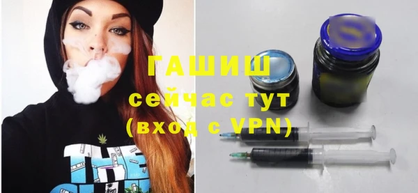 гашик Алексин