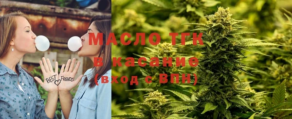 гашик Алексин