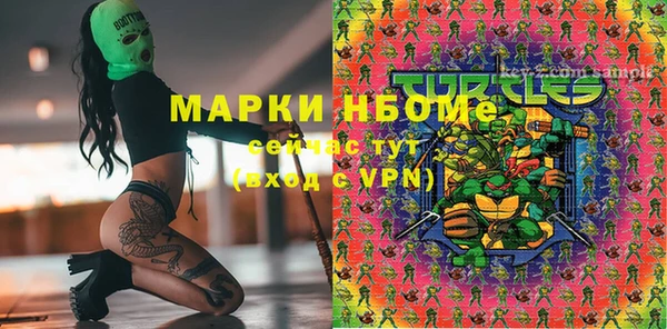 стафф Алзамай