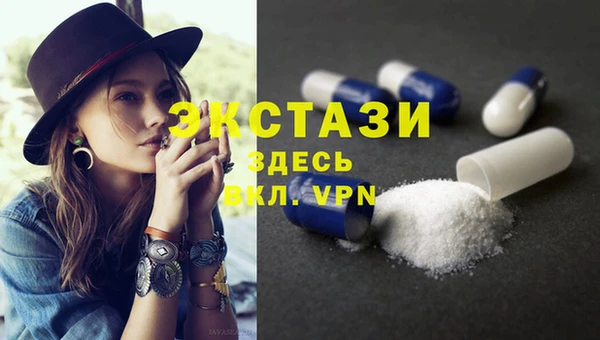 гашик Алексин