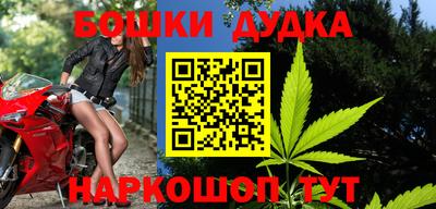 гашик Малгобек