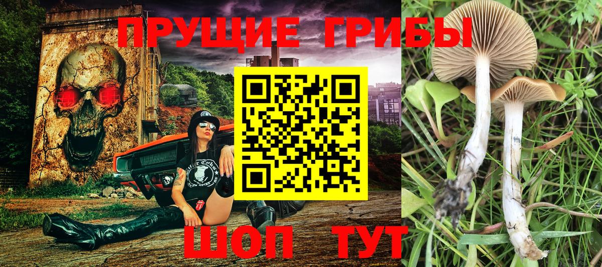Галлюциногенные грибы ЛСД Добрянка