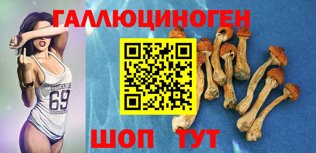 магазин продажи   Галлюциногенные грибы Cubensis  Вход с VPN  Добрянка 
